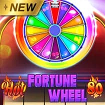 Hot Fortune Wheel 80